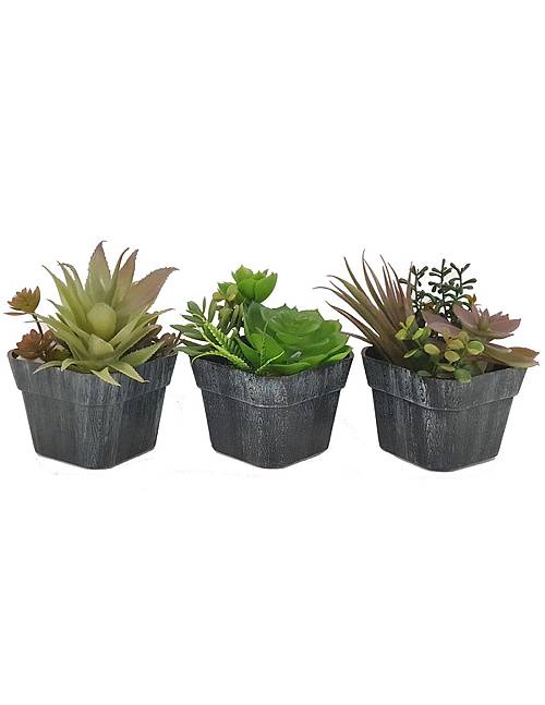 Πρασινάδα σε κασπώ 13εκ. 4σχ.