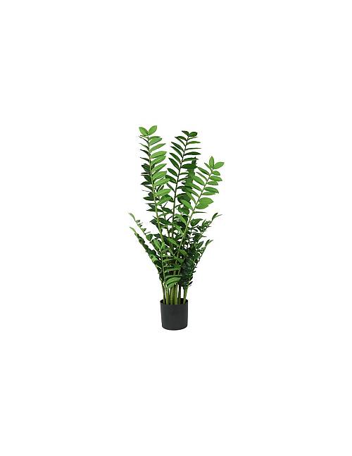 Ζάμια σε κασπώ 130εκ.