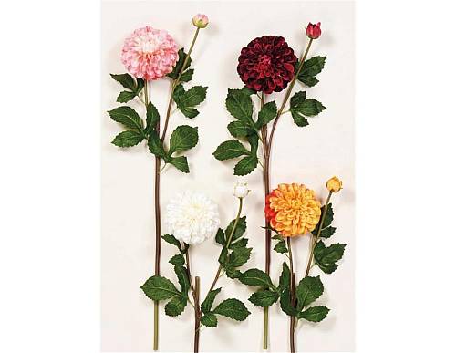 Κλαδί ντάλια