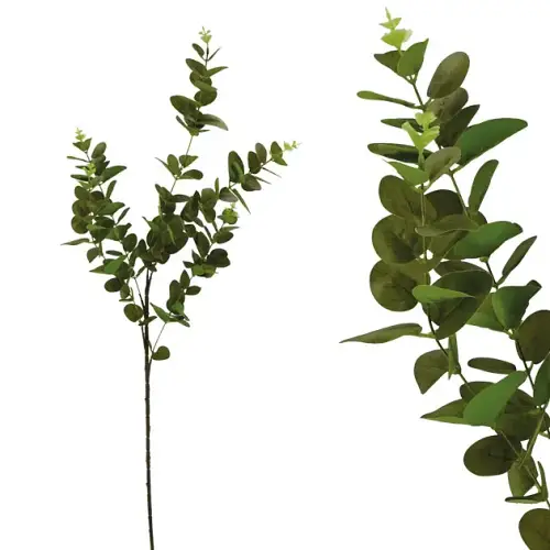 ΚΛΑΔΙ ΔΙΑΚΟΣΜΗΤΙΚΟ  ΕΥΚΑΛΥΠΤΟΣ 2ΧΡΩΜΟ ΠΡΑΣΙΝΟ REAL TOUCH Y97/54cm 40/240ΚΙΒ