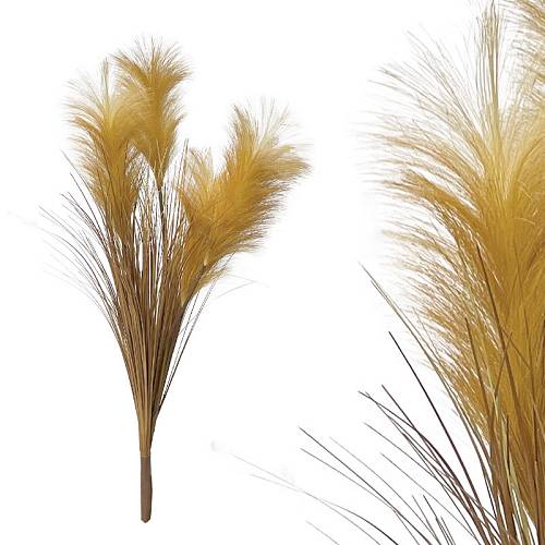 ΚΛΑΔΙ ΚΙΤΡΙΝΟ/ΚΑΦΕ ΚΑΛΑΜΙ ΓΚΡΑΣΣ-ΠΑΜΠΑΣ - Y85cm 200/KIB