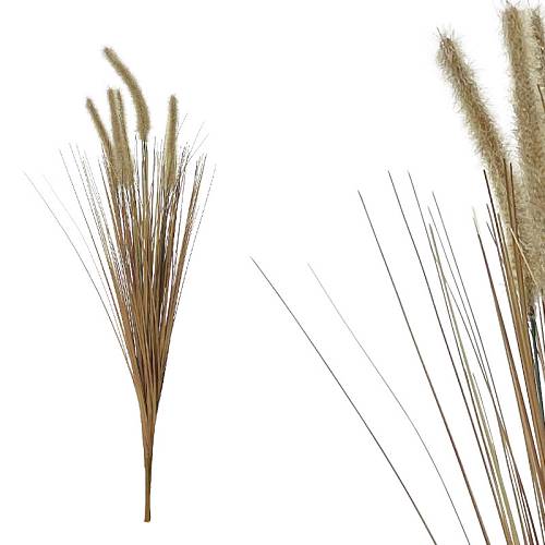 ΚΛΑΔΙ ΦΥΣΙΚΟ ΜΠΕΖ/ΚΑΦΕ ΓΚΡΑΣΣ ΜΕ ΑΝΘΗ ΚΑΛΑΜΙΑΣ - Y76cm 300/KIB