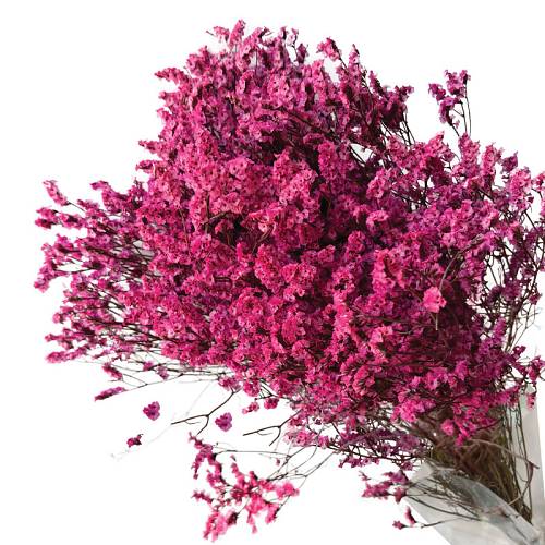 ΑΠΟΞΗΡΑΜΕΝΟ ΡΟΖ ΜΠΟΥΚΕΤΟ ΛΕΙΜΩΝΙΟ 120gr - Υ80-90cm 30/ΚΙΒ