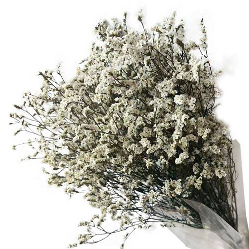 ΑΠΟΞΗΡΑΜΕΝΟ ΕΚΡΟΥ ΜΠΟΥΚΕΤΟ ΛΕΙΜΩΝΙΟ 120gr - Υ80-90cm 30/ΚΙΒ