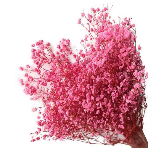 ΑΠΟΞΗΡΑΜΕΝA ΚΛΑΔΙΑ ΦΟΥΞ ΓΥΨΟΦΥΛΗ ΜΑΤΣΟ 100gr - Υ70-80cm 30/ΚΙΒ