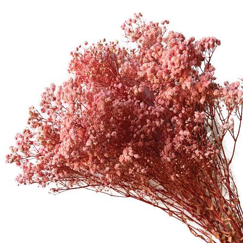 ΑΠΟΞΗΡΑΜΕΝA ΚΛΑΔΙΑ ΣΟΜΟΝ ΓΥΨΟΦΥΛΗ ΜΑΤΣΟ 100gr - Υ70-80cm 30/ΚΙΒ