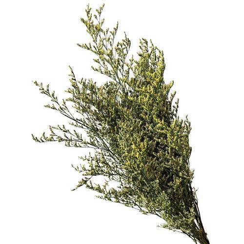 ΑΠΟΞΗΡΑΜΕΝA ΠΡΑΣΙΝΟ ΚΛΑΔΙΑ ΛΕΙΜΩΝΙΟ ΚΑΣΠΙΑ ΜΑΤΣΟ 120gr - Υ70cm 40/ΚΙΒ