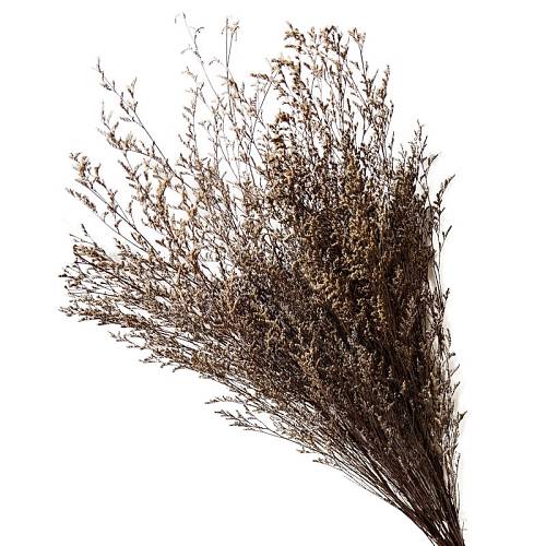 ΑΠΟΞΗΡΑΜΕΝA ΕΚΡΟΥ ΚΛΑΔΙΑ ΛΕΙΜΩΝΙΟ ΚΑΣΠΙΑ ΜΑΤΣΟ 120gr - Υ70cm 40/ΚΙΒ