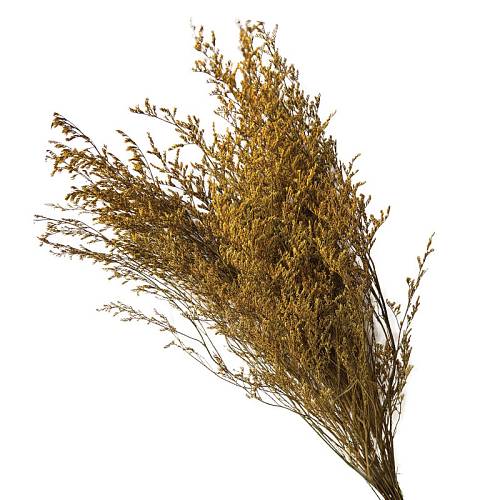 ΑΠΟΞΗΡΑΜΕΝA ΚΙΤΡΙΝΟ ΚΛΑΔΙΑ ΛΕΙΜΩΝΙΟ ΚΑΣΠΙΑ ΜΑΤΣΟ 120gr - Υ70cm 40/ΚΙΒ