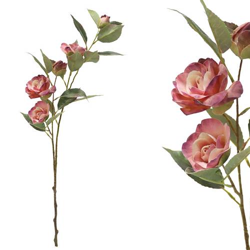 ΚΛΑΔΙ ΚΑΜΕΛΙΑΣ ΡΟΖ Χ5 ΑΝΘΗ - 69cm 12/120ΚΙΒ