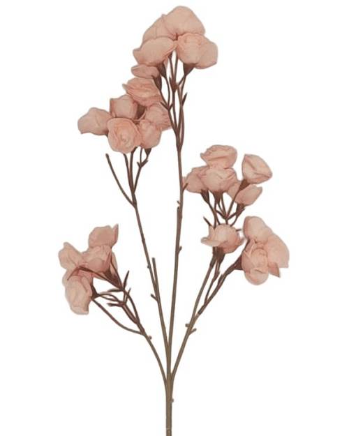 ΚΛΑΔΙ ΜΕ ΛΟΥΛΟΥΔΙΑ ΡΟΖ