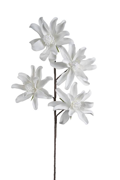 ΛΟΥΛΟΥΔΙ ΠΕΝΤΑΠΛΟ ΛΕΥΚΟ  104ΕΚ