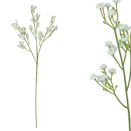 ΚΛΑΔΙ ΓΥΨΟΦΙΛΗ ΛΕΥΚΟ Χ3 ΑΝΘΗ - 57cm 60/600ΚΙΒ