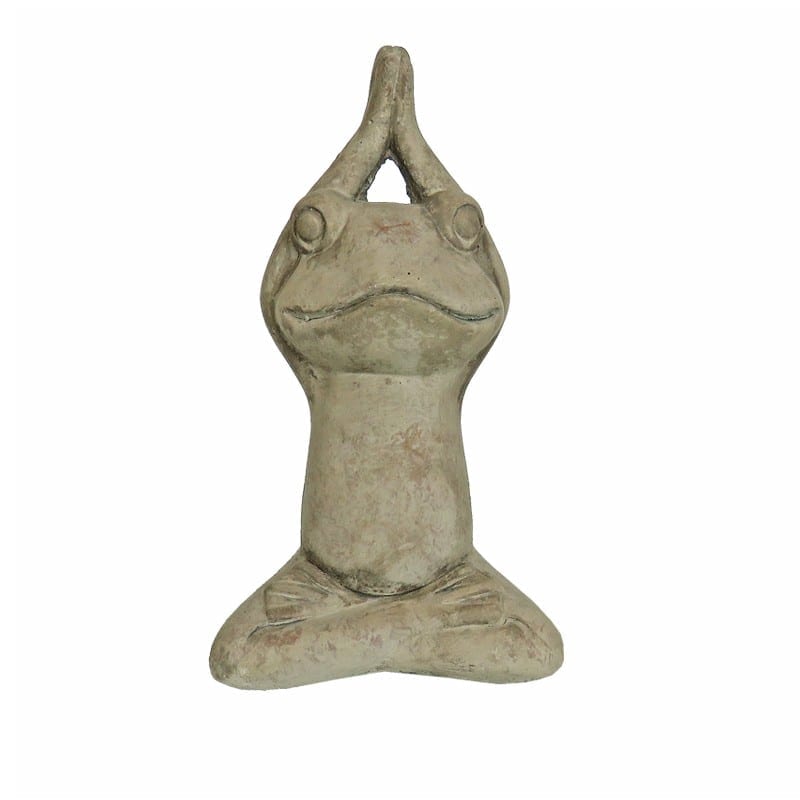 ΔΙΑΚΟΣΜΗΤΙΚΟΣ ΒΑΤΡΑΧΟΣ ΠΕΤΡΙΝΟΣ