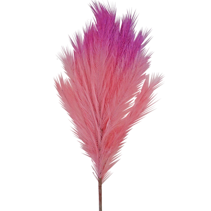 ΚΛΑΔΙ PAMPAS ΡΟΖ-ΜΩΒ