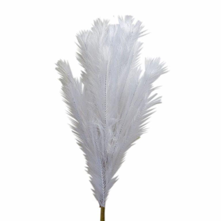 ΚΛΑΔΙ PAMPAS ΛΕΥΚΟ