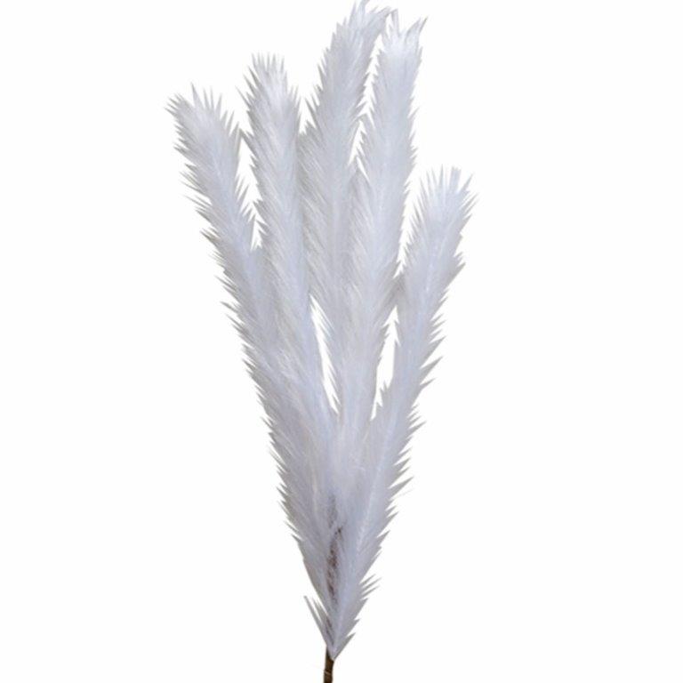 ΚΛΑΔΙ PAMPAS ΛΕΥΚΟ