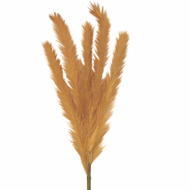 ΚΛΑΔΙ PAMPAS ΜΠΕΖ