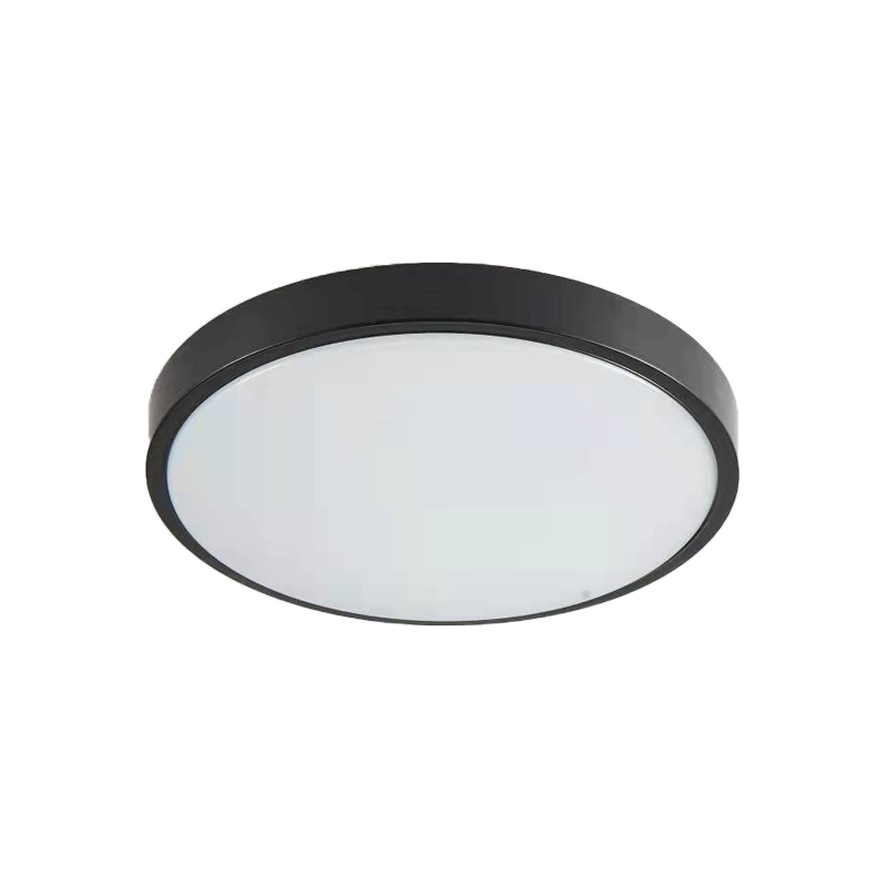 it-Lighting Torch LED 18W 3CCT Outdoor Ceiling Light Anthracite D:28cmx5,3cm (80300340)