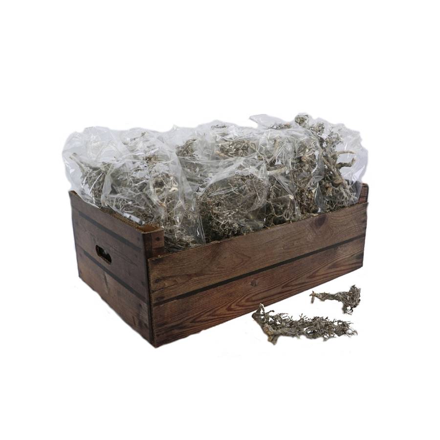 BONSAI ΤΕΧΝΗΤΟ ΚΛΑΔΙ