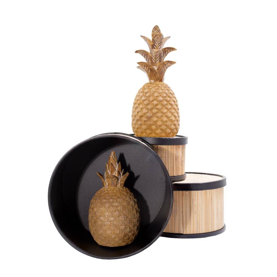 GINKO 5 DECO ΑΝΑΝΑΣ POLYRESIN ΦΥΣΙΚΟ D15xH33,5cm