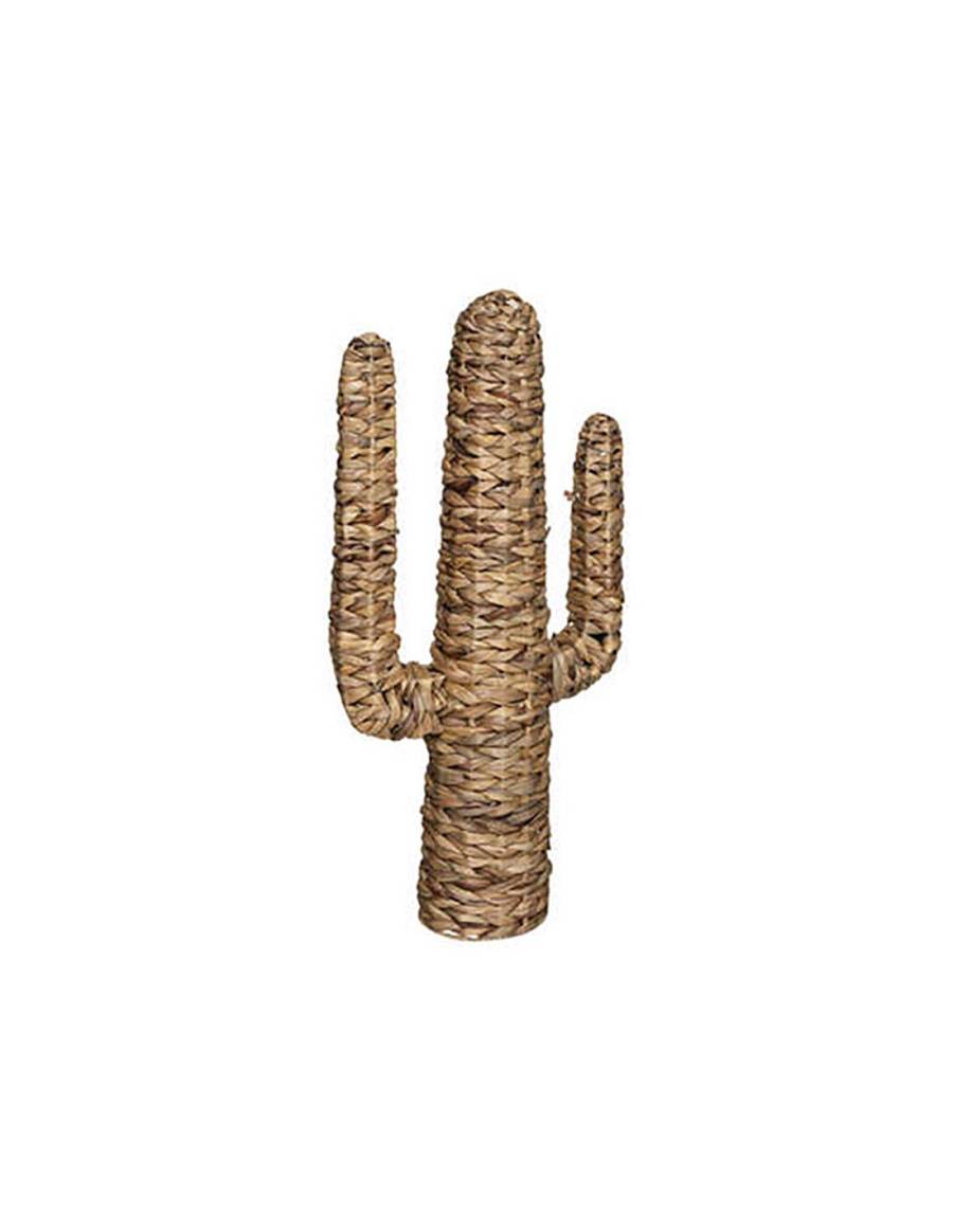 Κάκτος διακ.υδρουάκινθος 38,5Χ75