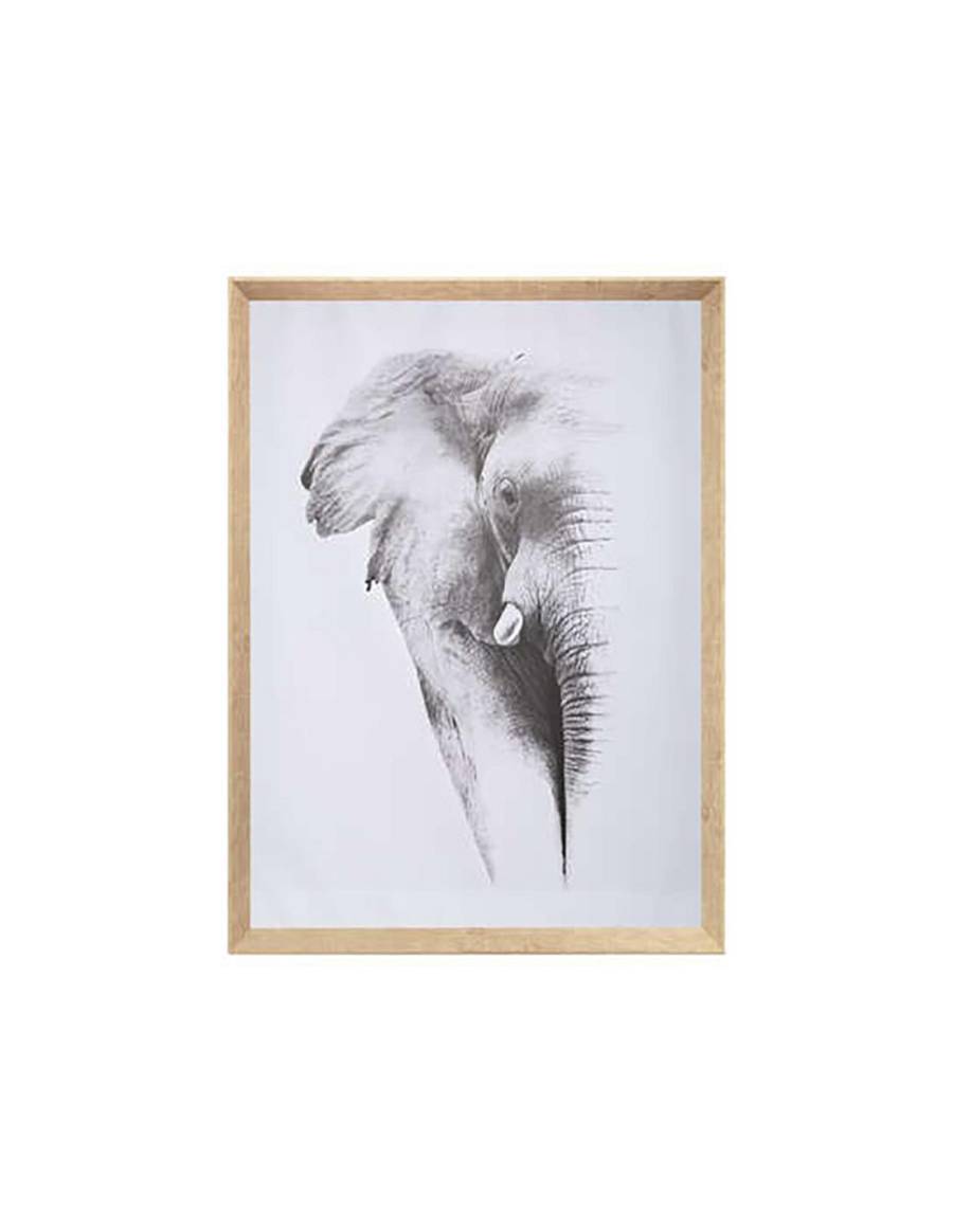 Πίνακας ANIMAL 2σχ. 58Χ78