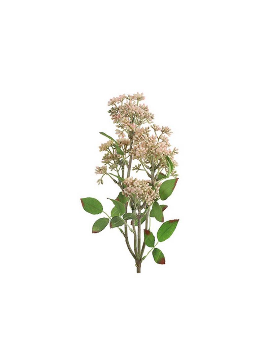 Prunus κλαδί ροζ