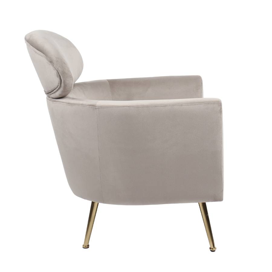 TESTA ΠΟΛΥΘΡΟΝΑ ELEPHANT 86x72xH76cm