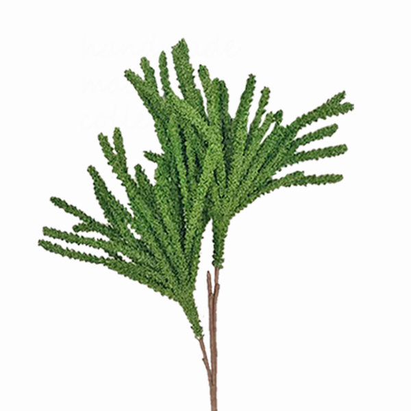 ΚΛΑΔΙ ΠΡΑΣΙΝΟ