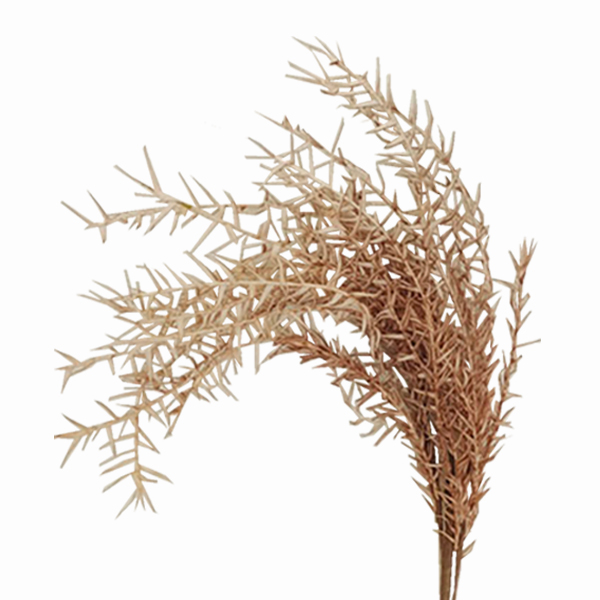 ΚΛΑΔΙ ΜΕ ΛΟΥΛΟΥΔΙΑ ΚΑΦΕ-ΜΠΕΖ