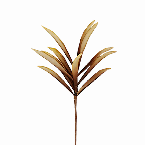 ΛΟΥΛΟΥΔΙ ΚΑΦΕ ΙΒΟΥΑΡ