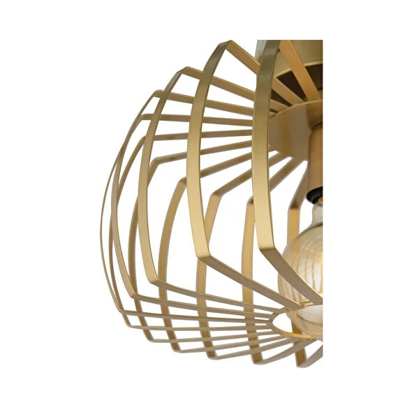 CCT 1256 AB ΠΛΑΦΟΝΙΕΡΑ ΑΡΑΧΝΗ