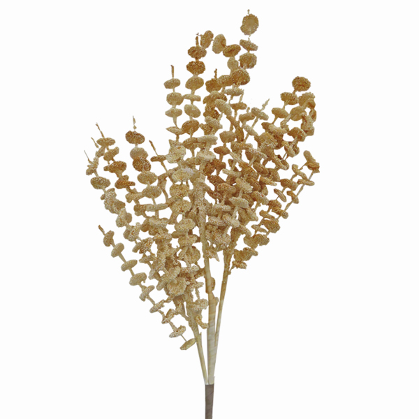 ΚΛΑΔΙ ΙΒΟΥΑΡ GLITTER