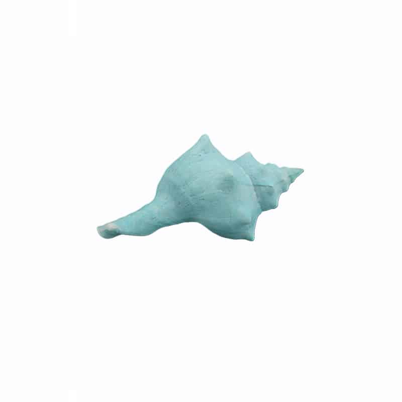 ΔΙΑΚΟΣΜΗΤΙΚΟ ΚΟΧΥΛΙ