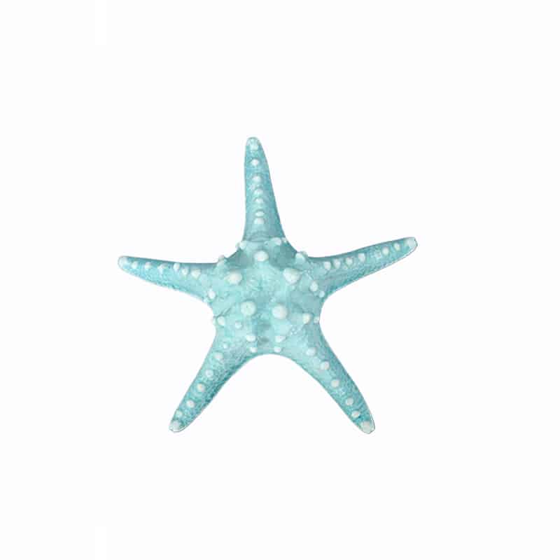 ΔΙΑΚΟΣΜΗΤΙΚΟΣ ΑΣΤΕΡΙΑΣ