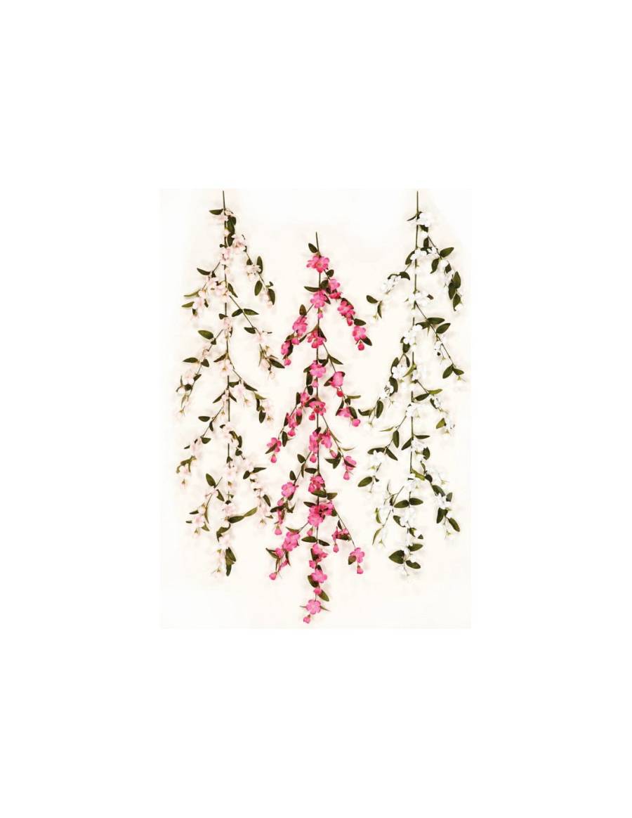 ΓIPΛANTA ANΘAKI 135EK.