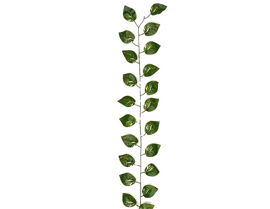 ΓIPΛANTA ΠOΘOΣ 3METPA