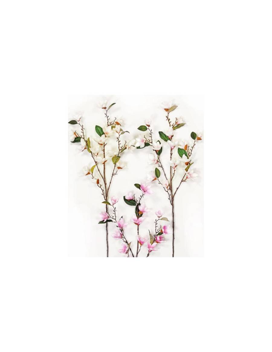 KΛAΔI MANΩΛIA 95cm