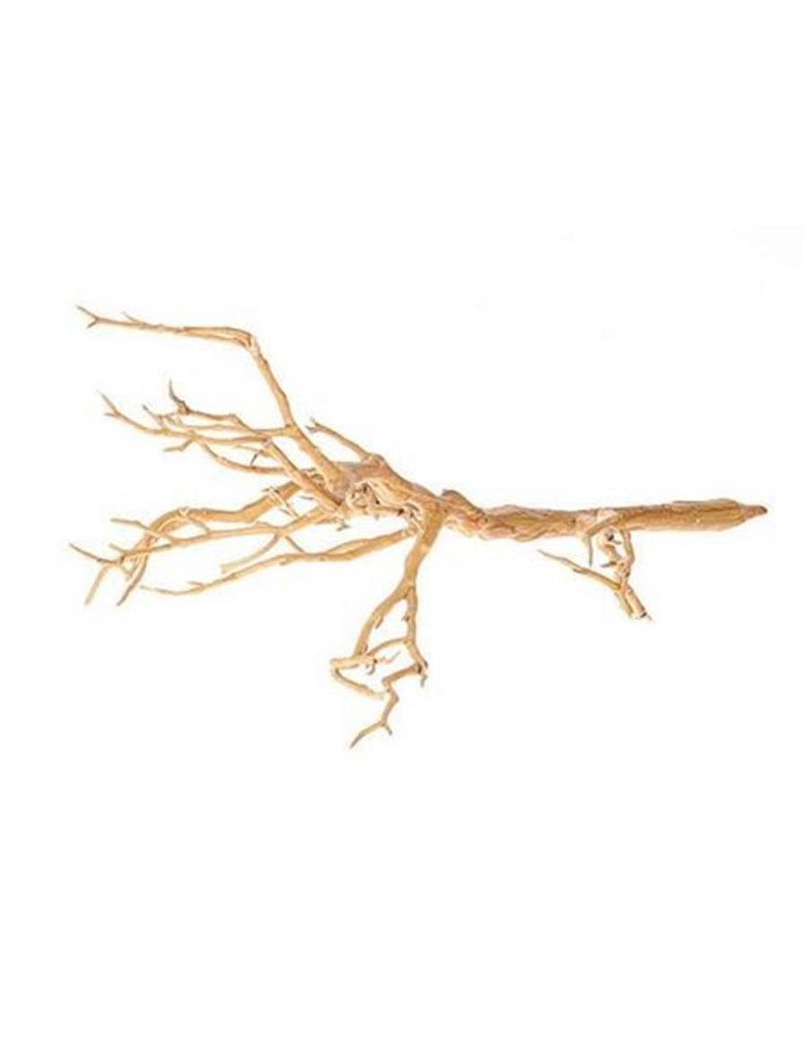 Κλαδί ρίζα φυσικό 60εκ.