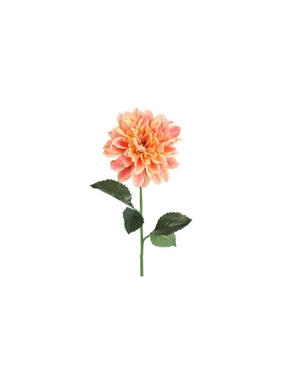 Ντάλια κλαδι σομον Η72cm