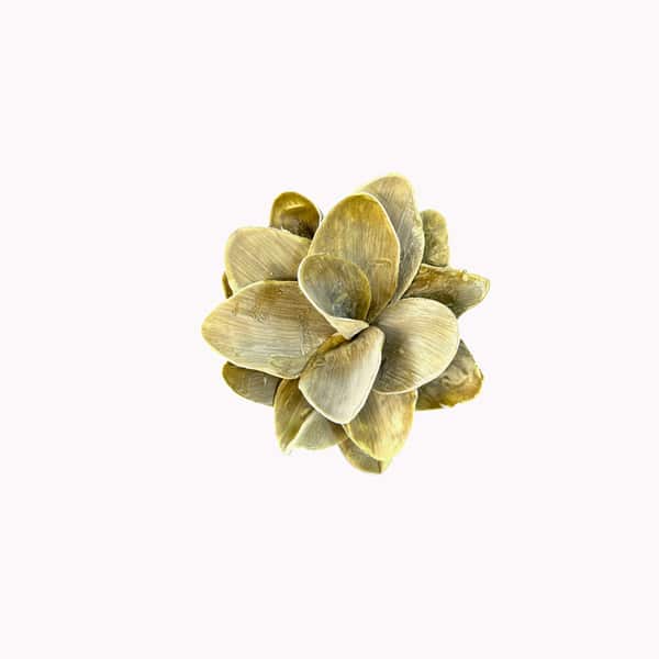 ΛΟΥΛΟΥΔΙ ΛΑΔΙ-ΠΡΑΣΙΝΟ