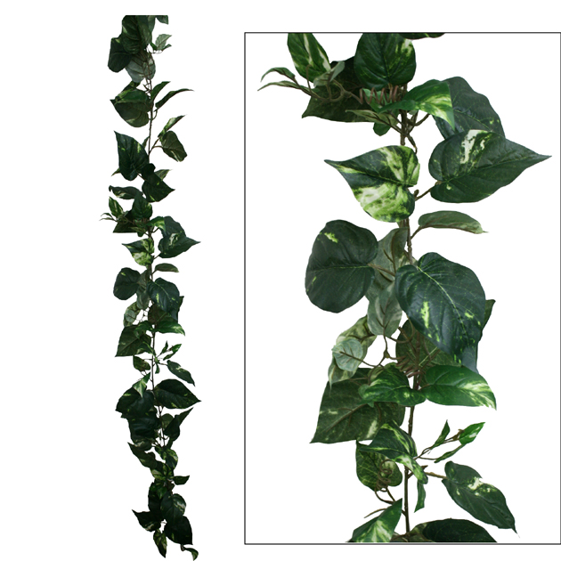 ΓΙΡΛΑΝΤΑ ΠΟΘΟΣ ΔΙΧΡΩΜΟΣ (122 ΦΥΛΛΑ) Y180cm. 12/72ΚΙΒ