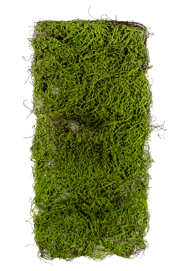 ΠΡΑΣΙΝΑΔΑ ΓΙΑ ΝΤΕΚΟΡ