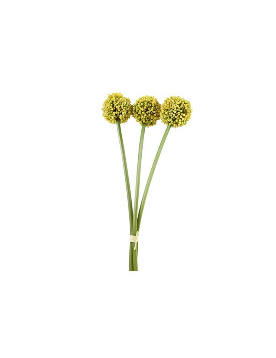 Allium κίτρινο  55εκ.