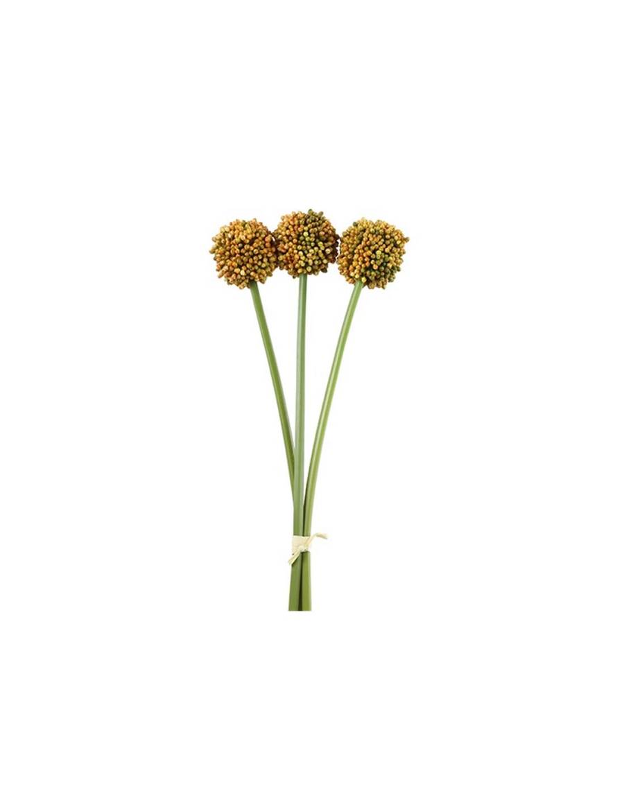 Allium πορτοκαλί  55εκ.