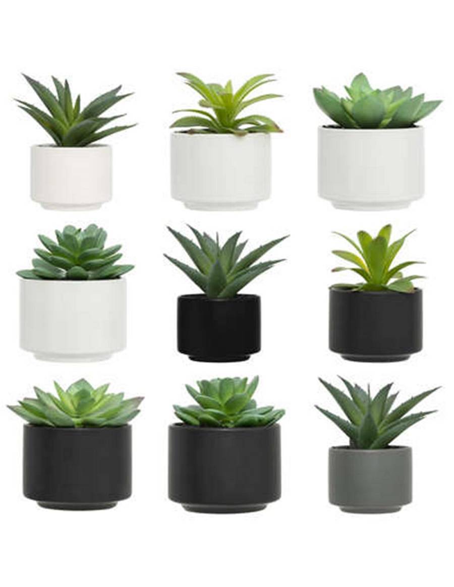 Κάκτος σε κασπώ 13εκ.