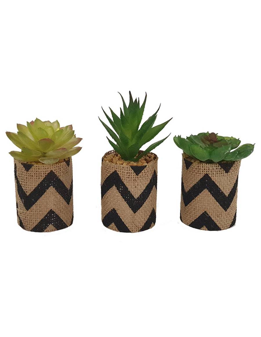 Κάκτος σε κασπώ ριγέ λινάτσας 9-12εκ. 3σχ.