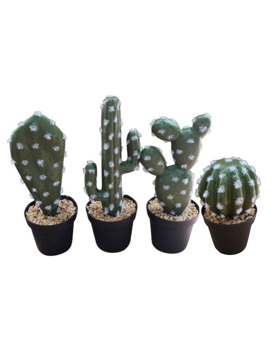 Κάκτος σε πλ.κασπώ 14-27εκ. 4σχ.