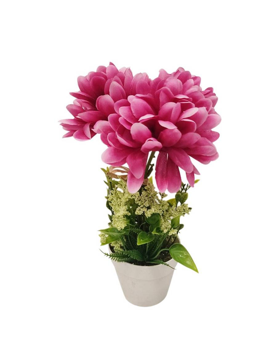 Παιώνια σε κασπώ 27εκ.